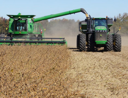 Marketing digital para o agronegócio: saiba como começar